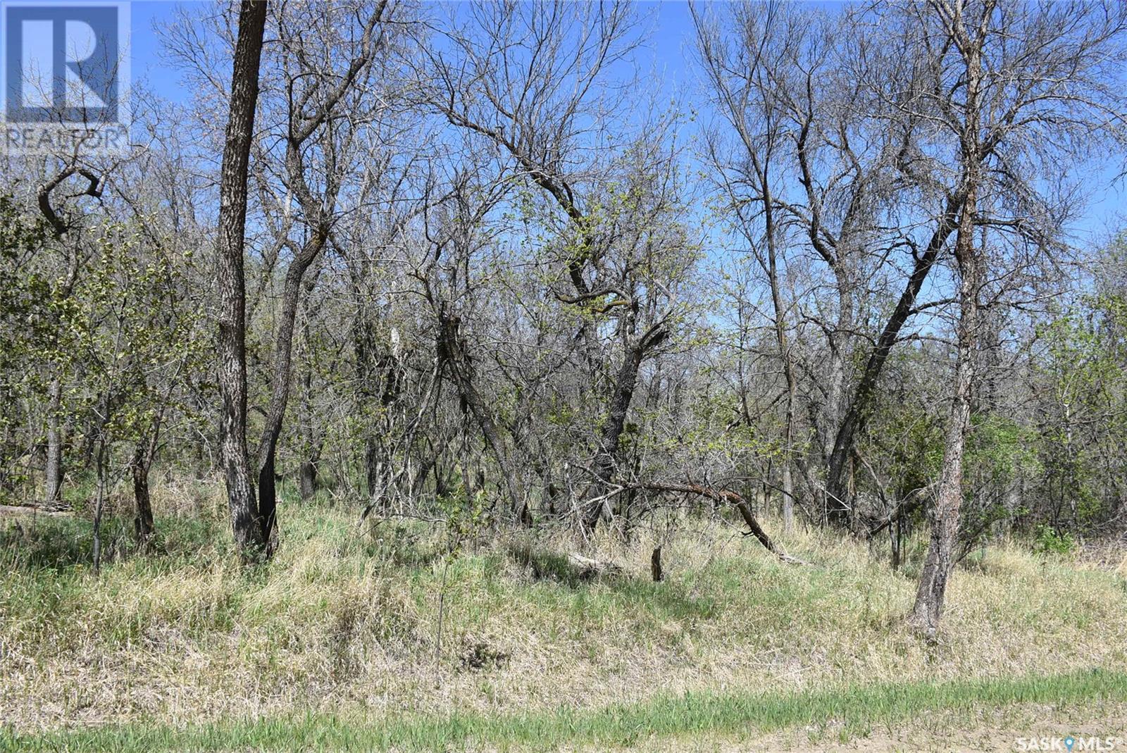 405 Mackie Street, North Qu'appelle Rm No. 187, Saskatchewan  S0G 1S0 - Photo 9 - SK006527