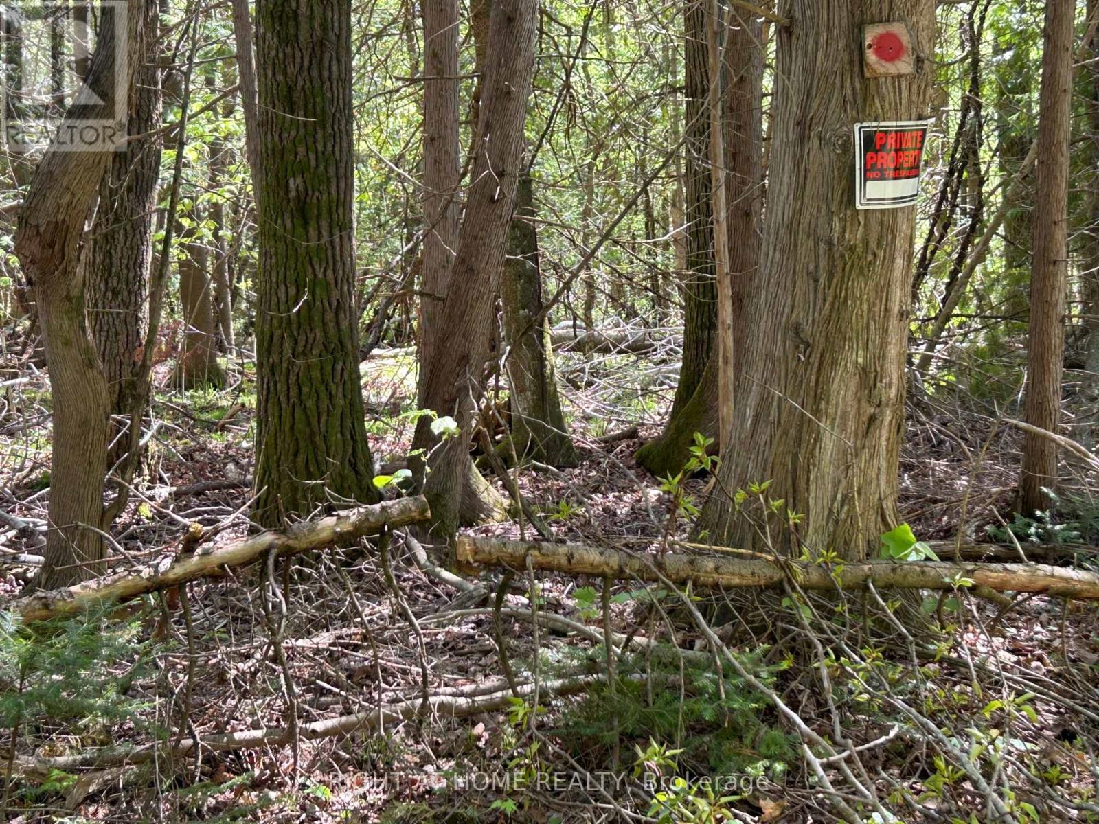 0 Mount Horeb Road, Kawartha Lakes, Ontario  K0L 2K0 - Photo 10 - X12159937