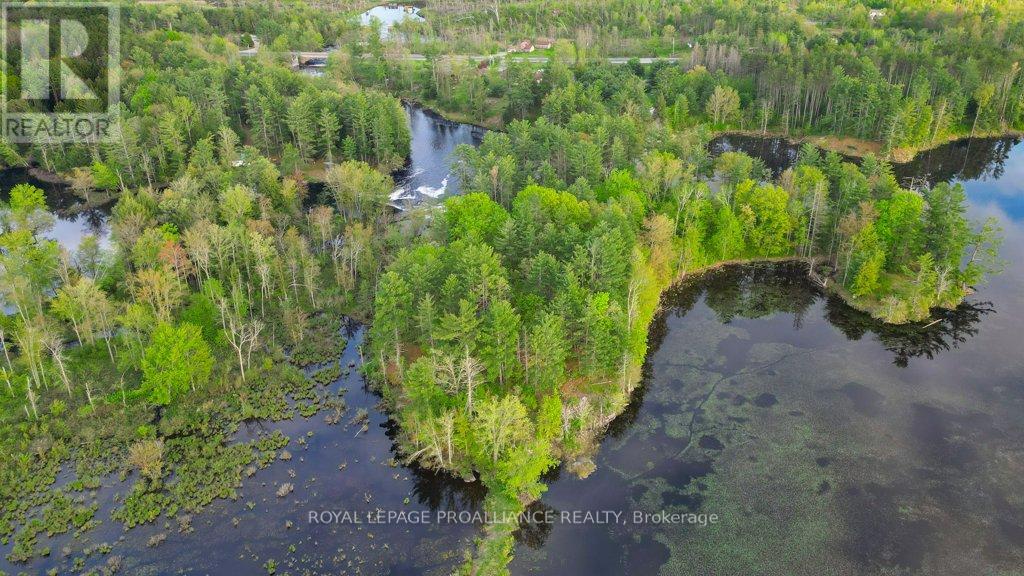 108575 Highway 7 Highway, Tweed, Ontario  K0K 3J0 - Photo 49 - X12160076
