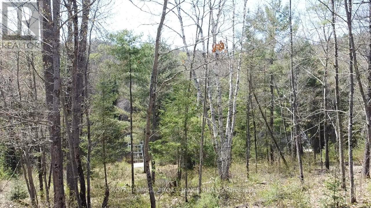 536 Addington Road 5, Addington Highlands, Ontario  K0H 1K0 - Photo 8 - X12160418