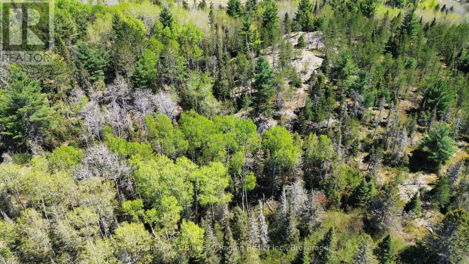 114 De La Montee Road, West Nipissing, Ontario  P0H 2M0 - Photo 8 - X12160253