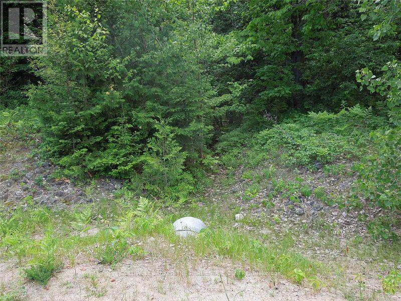 8 Tioga Boulevard, Adjala-Tosorontio, Ontario  L0M 1J0 - Photo 6 - N12160074