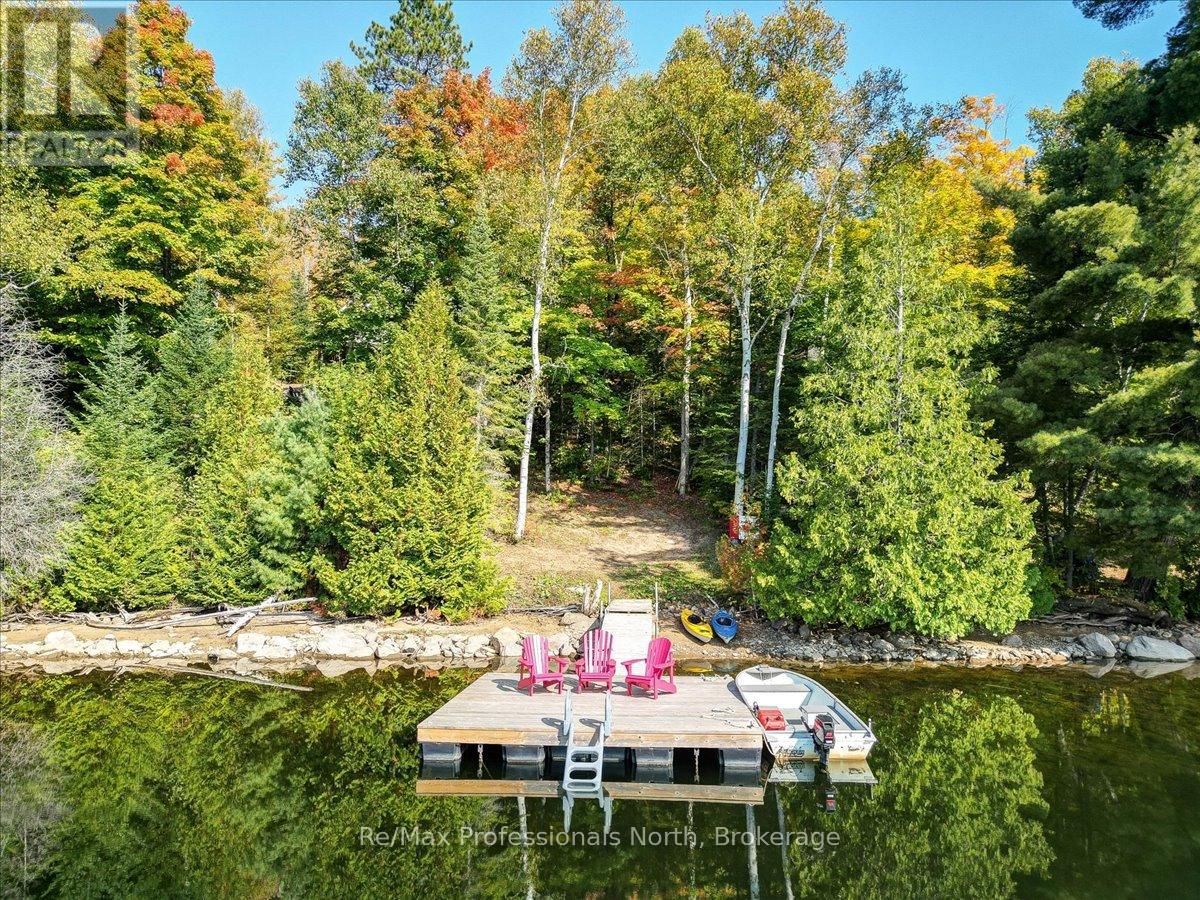 88 Russell Drive, Trent Lakes, Ontario  K0M 2A0 - Photo 38 - X12159942