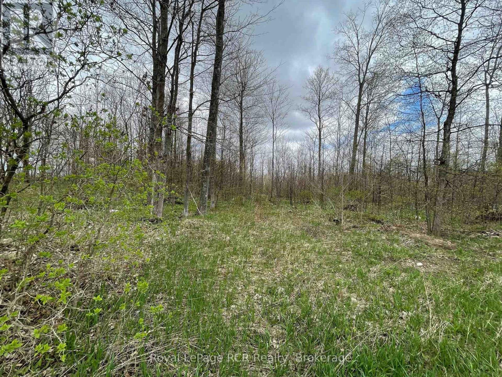 393596 Concession 2, West Grey, Ontario  N0G 1R0 - Photo 9 - X12160098