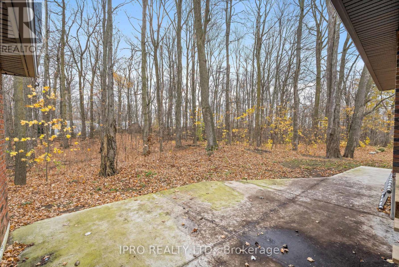 7142 7 Highway, Halton Hills (Rural Halton Hills), Ontario  L7J 2L9 - Photo 38 - W12160346