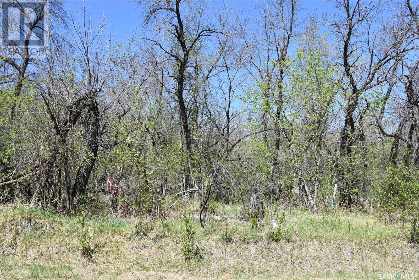 404 Mackie Street, North Qu'appelle Rm No. 187, Saskatchewan  S0G 1S0 - Photo 11 - SK006531