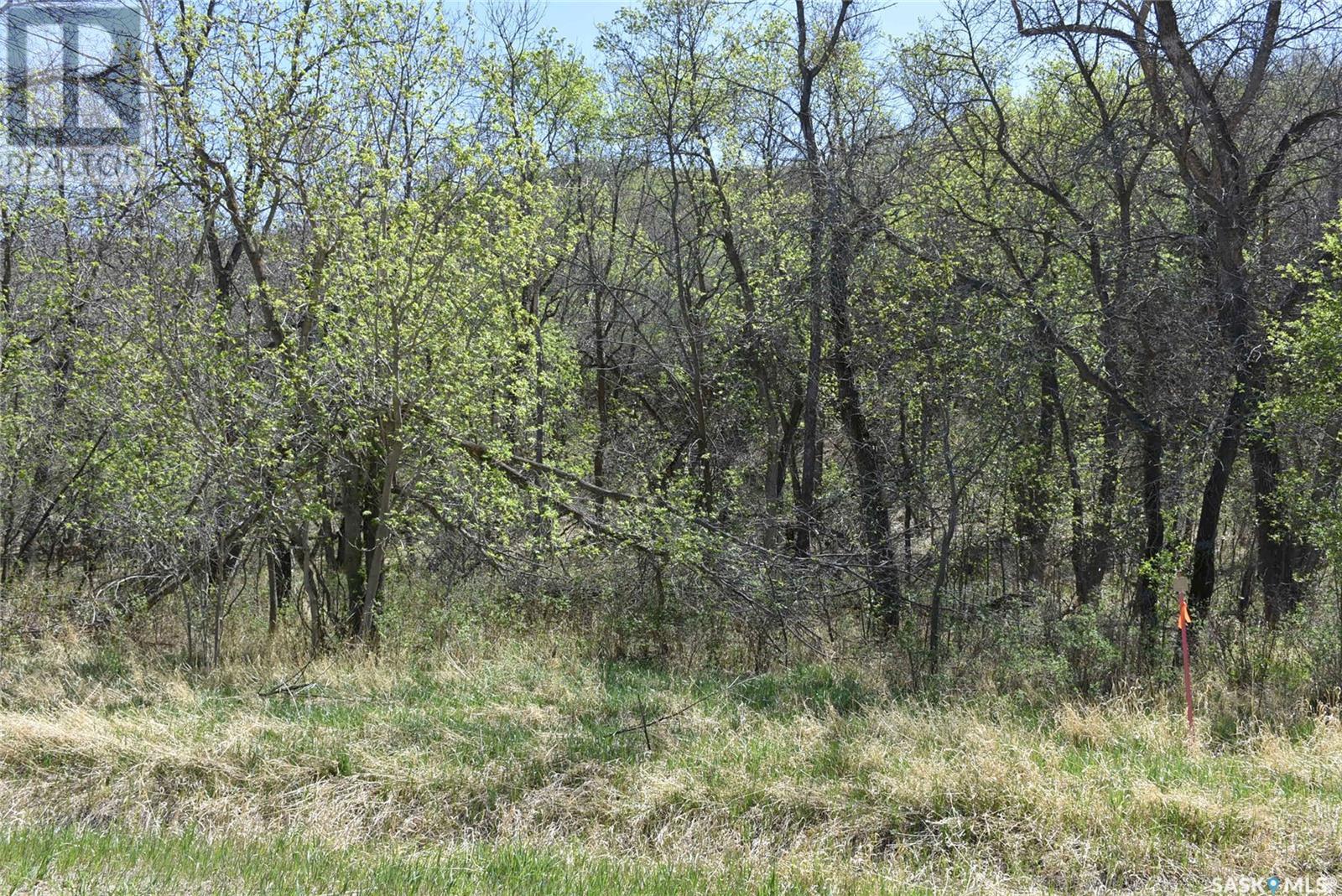 402 Mackie Street, North Qu'appelle Rm No. 187, Saskatchewan  S0G 1S0 - Photo 7 - SK006530