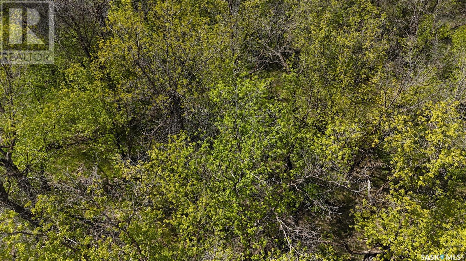 400 Mackie Street, Echo Lake, Saskatchewan  S0G 1S0 - Photo 3 - SK006529