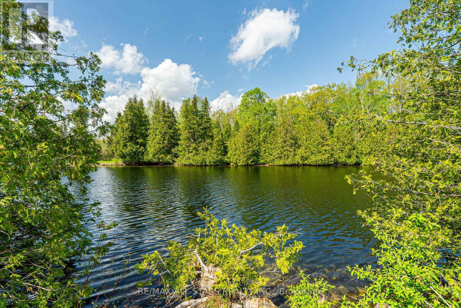 104 Trent Canal Road, Kawartha Lakes, Ontario  L9P 1M7 - Photo 6 - X12160128