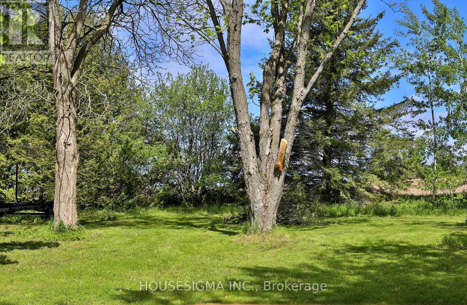 1106 Island View Drive, Otonabee-South Monaghan, Ontario  K0L 1B0 - Photo 22 - X12160409