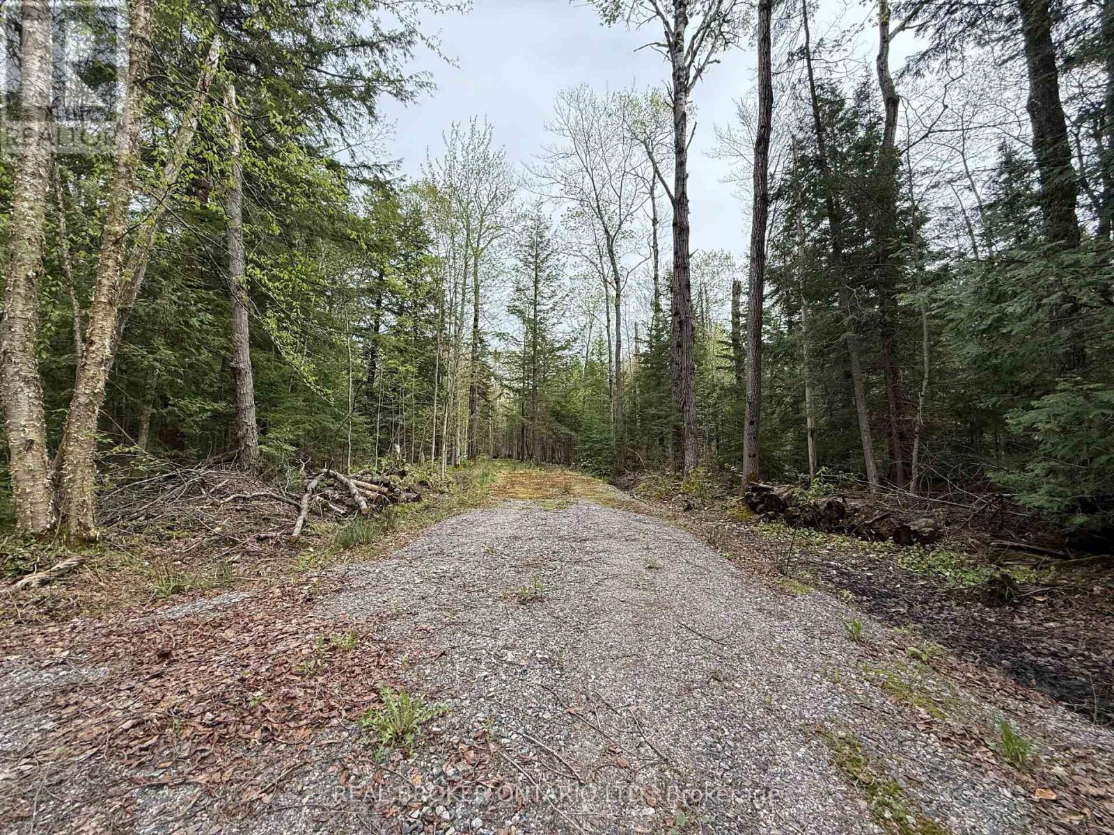 0 BEAR CAVE ROAD, Muskoka Lakes, Ontario