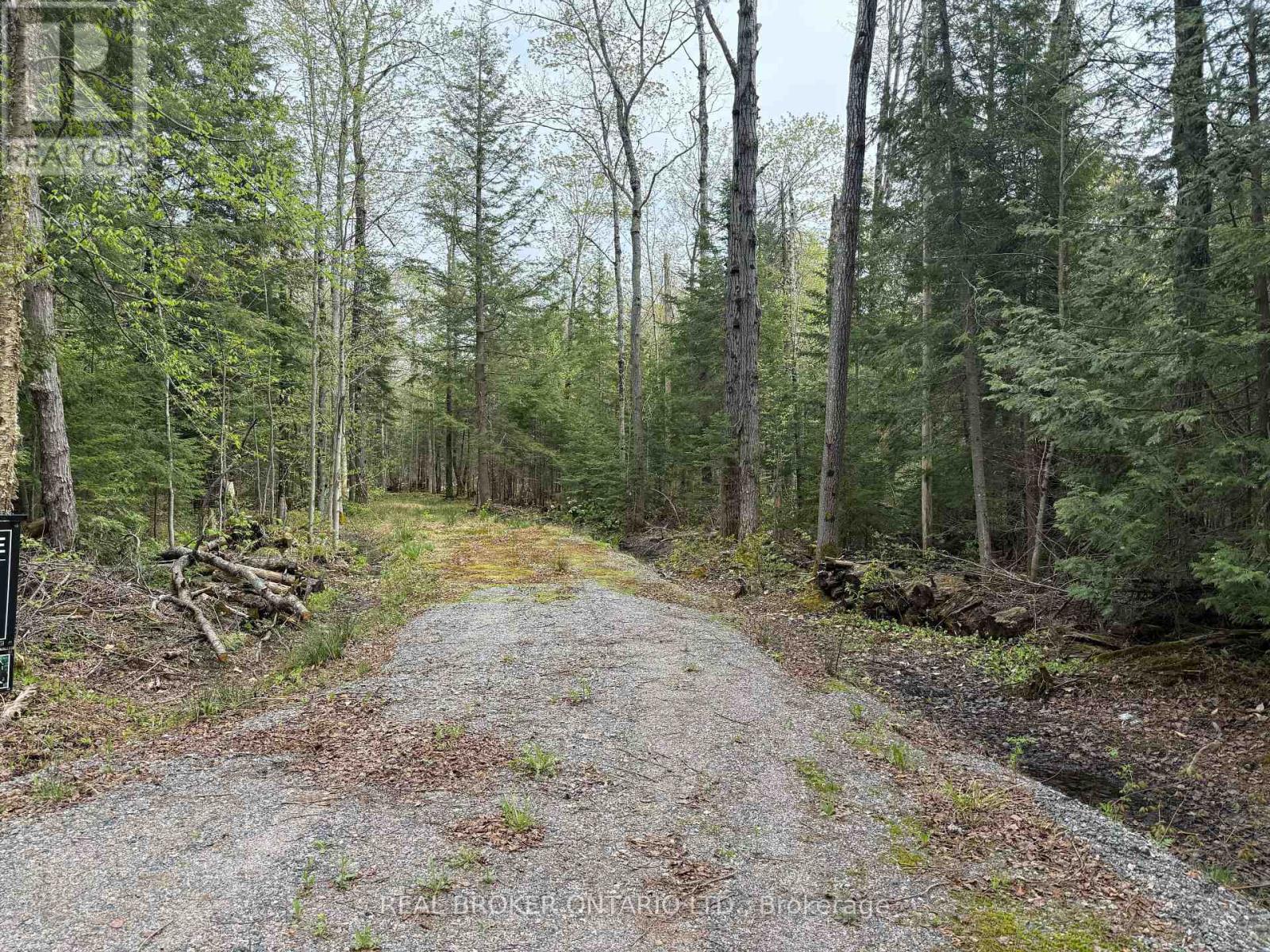 0 Bear Cave Road, Muskoka Lakes (Cardwell), Ontario  P0C 1J0 - Photo 2 - X12160570