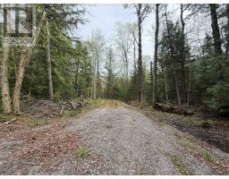 0 BEAR CAVE ROAD, Muskoka Lakes, Ontario