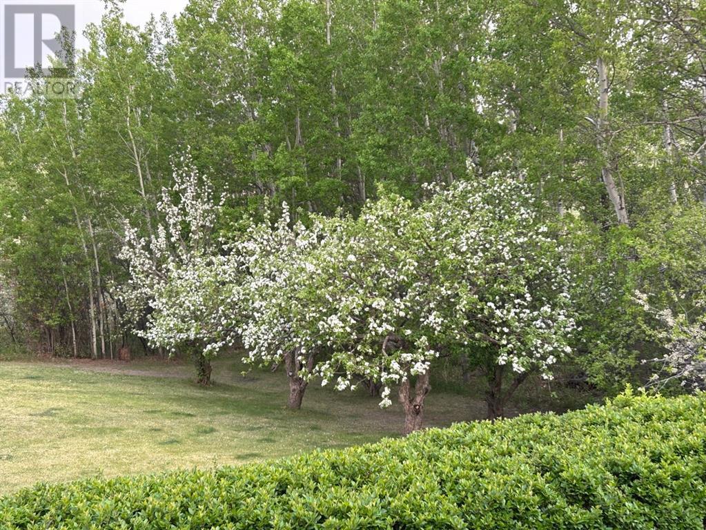 26458 Township Road 382, Rural Red Deer County, Alberta  T4E 1G7 - Photo 44 - A2195553