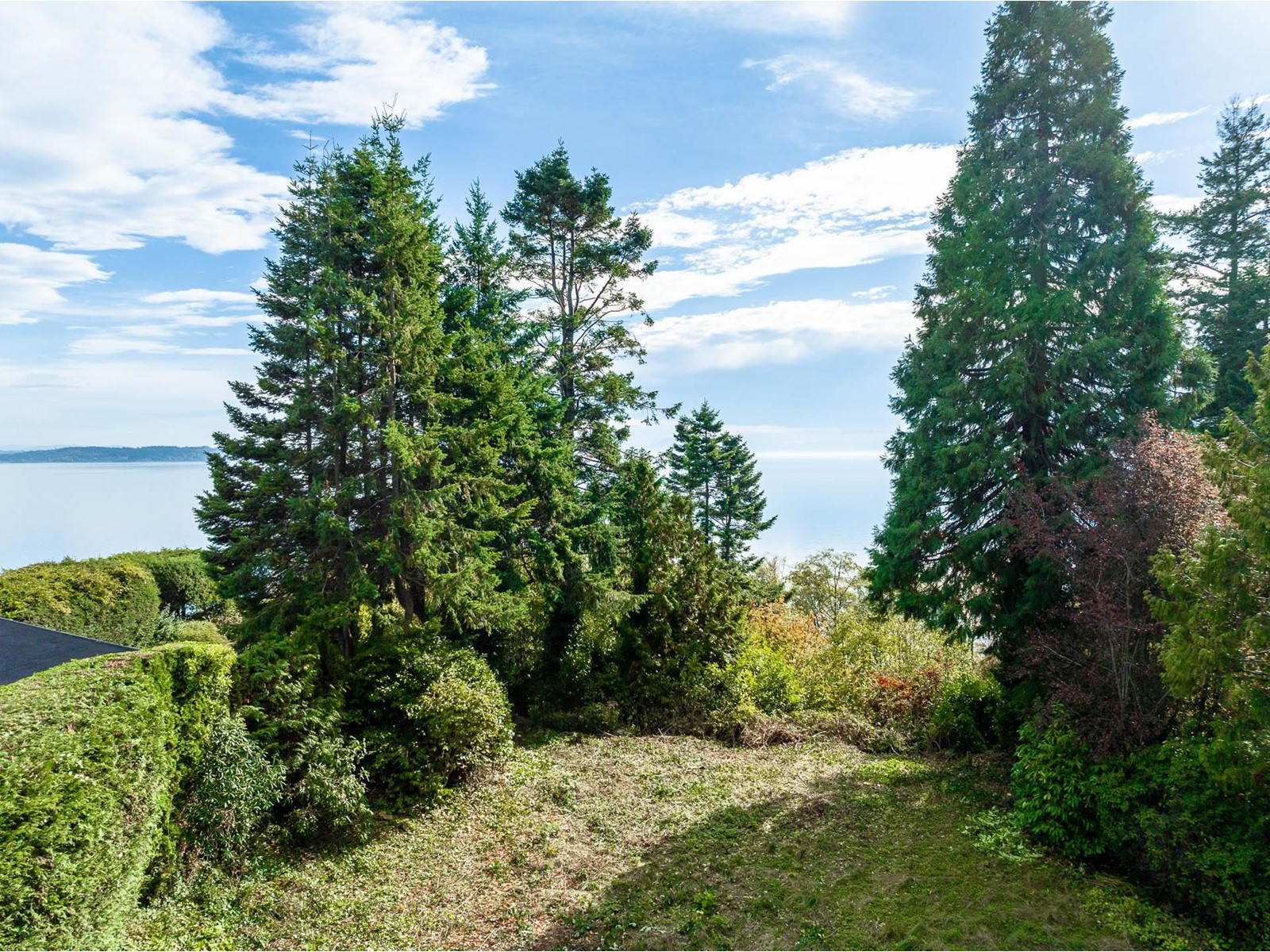 13536 13a Avenue, Surrey, British Columbia  V4A 1C4 - Photo 2 - R3004994