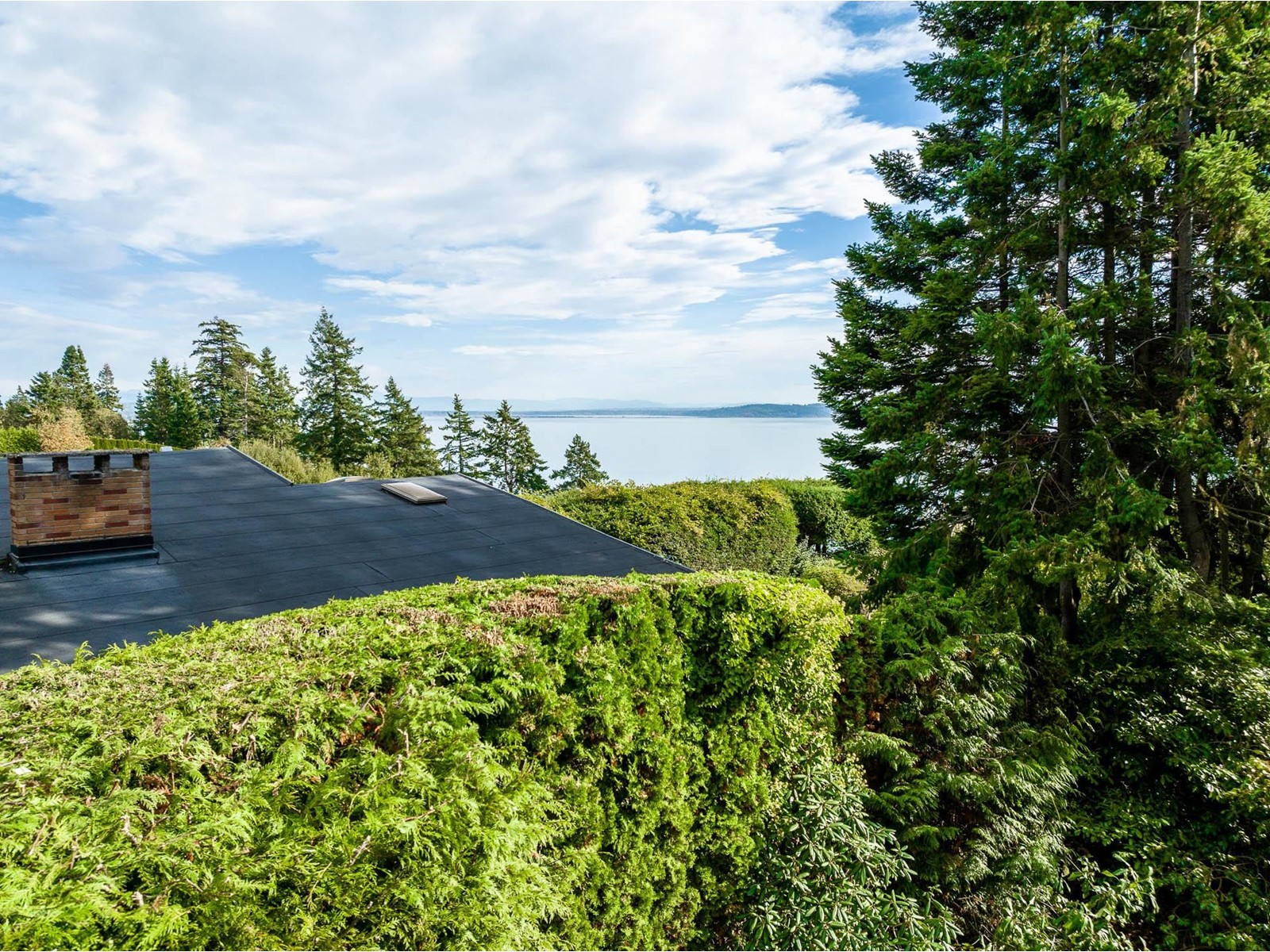 13536 13a Avenue, Surrey, British Columbia  V4A 1C4 - Photo 4 - R3004994