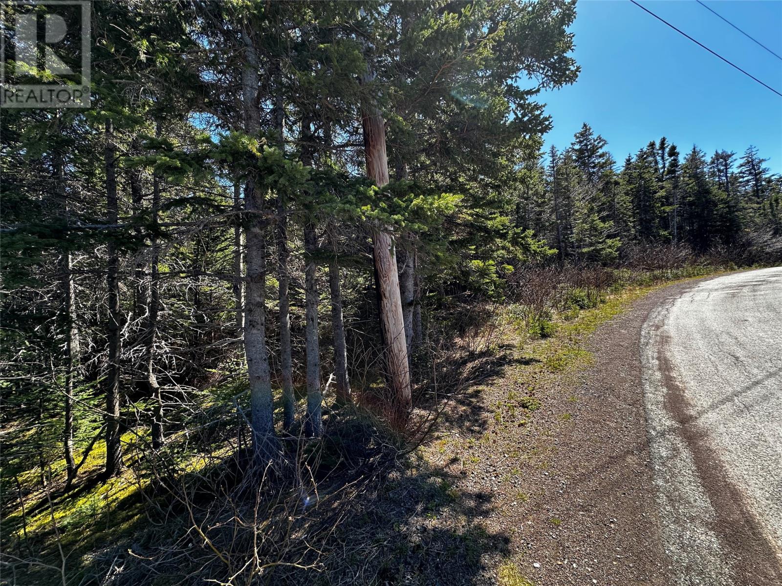 2-24 Park Road, Comfort Cove-Newstead, Newfoundland & Labrador  A0G 3K0 - Photo 8 - 1285246