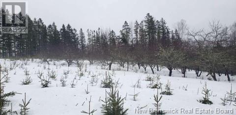 935 Route 575, Pole Hill, New Brunswick  E7P 1Z7 - Photo 8 - NB114257