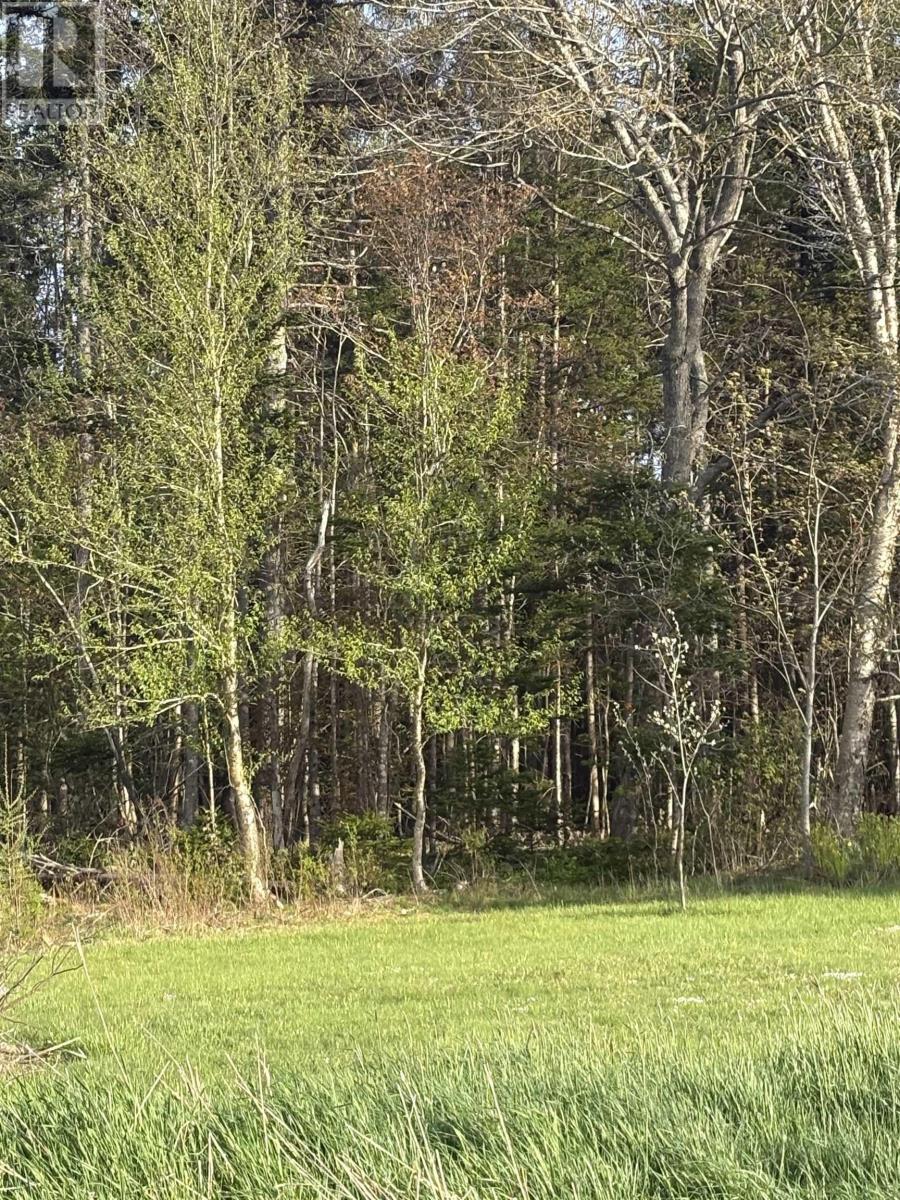 Lot 279 Beaver Bank Road, Beaver Bank, Nova Scotia  B4E 1K1 - Photo 4 - 202511650
