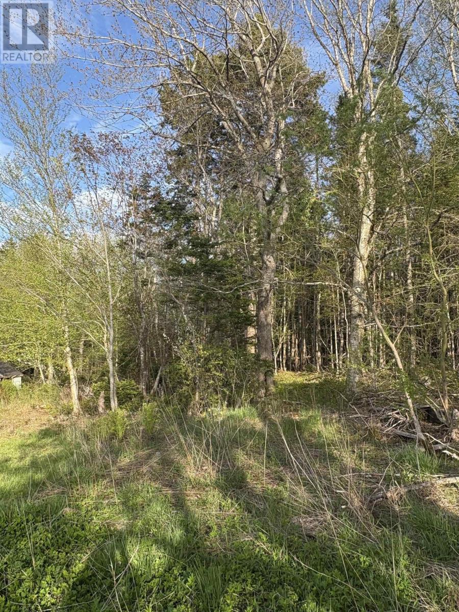 Lot 279 Beaver Bank Road, Beaver Bank, Nova Scotia  B4E 1K1 - Photo 5 - 202511650