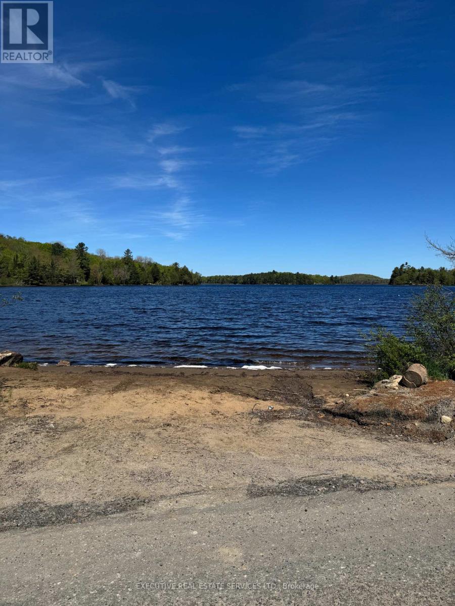 1438 Echo Lake Road, Lake Of Bays, Ontario  P0S 1C0 - Photo 8 - X12161036