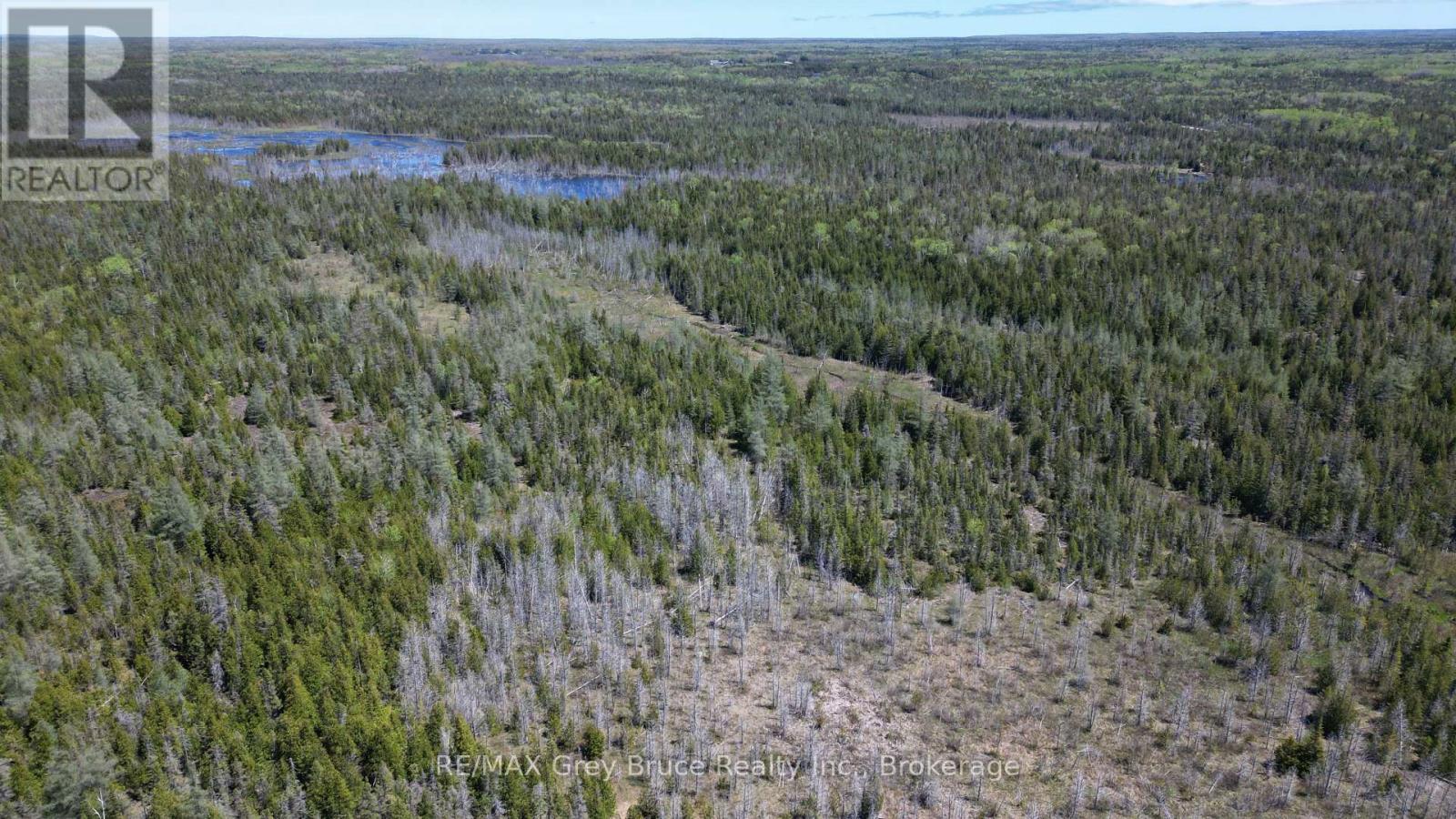 46 Youngblood Road, Northern Bruce Peninsula, Ontario  N0H 1Z0 - Photo 44 - X12161113