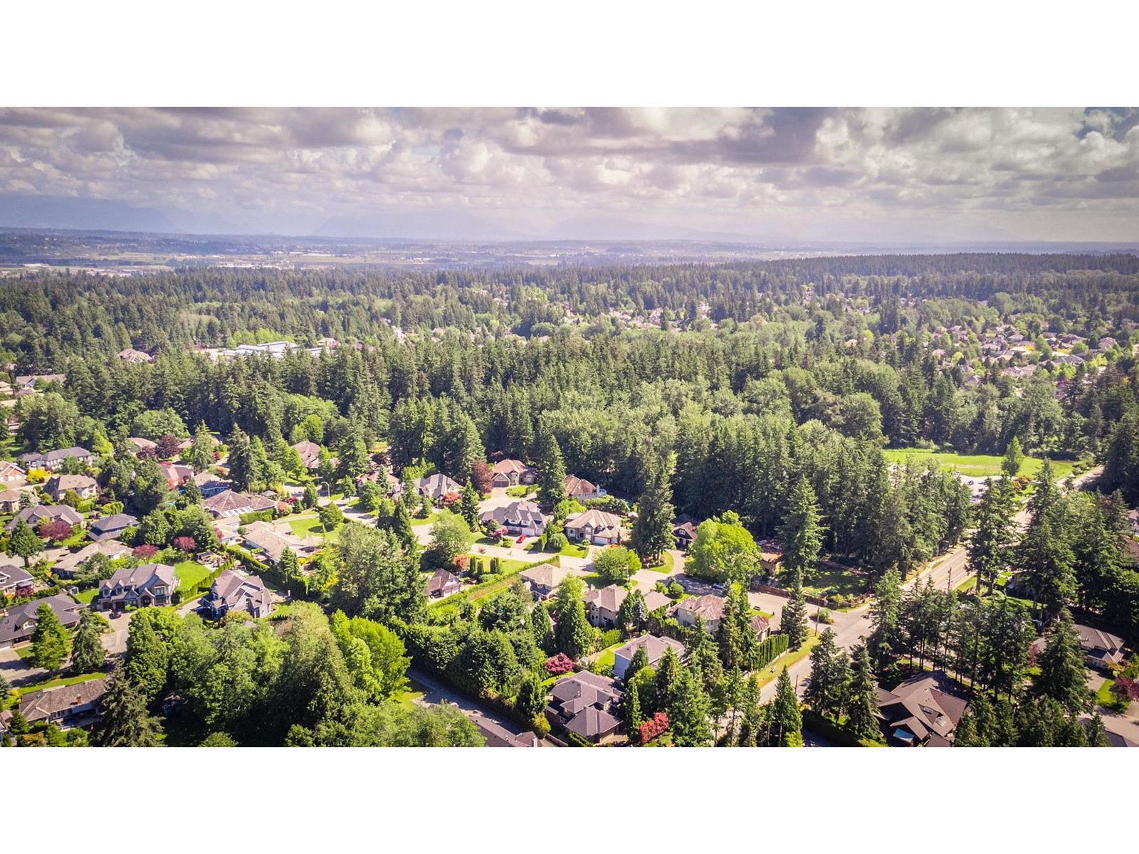 2020 134 Street, Surrey, British Columbia  V4A 9N8 - Photo 7 - R2985245