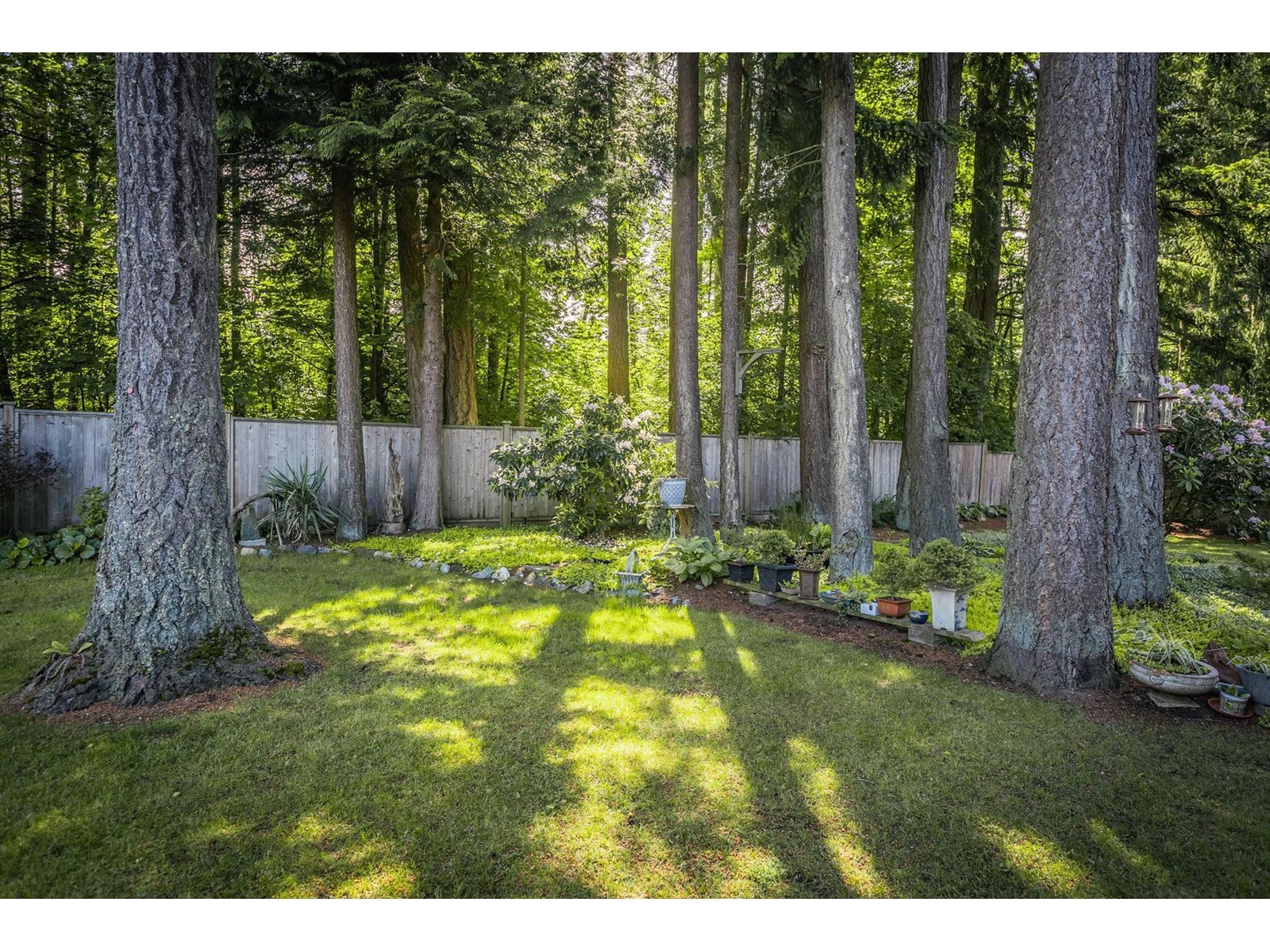 2020 134 Street, Surrey, British Columbia  V4A 9N8 - Photo 36 - R2985245