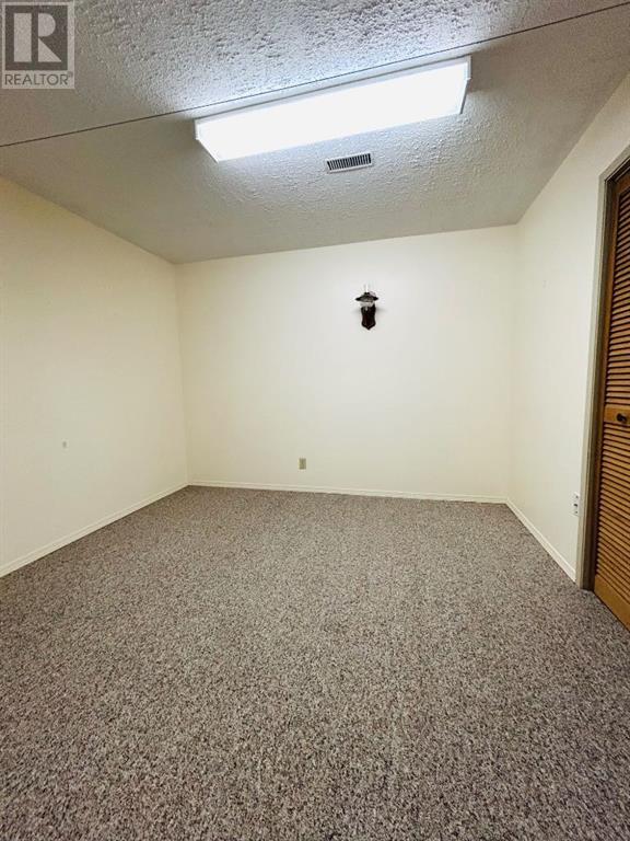 202 7 Avenue E, Oyen, Alberta  T0J 2J0 - Photo 17 - A2223032