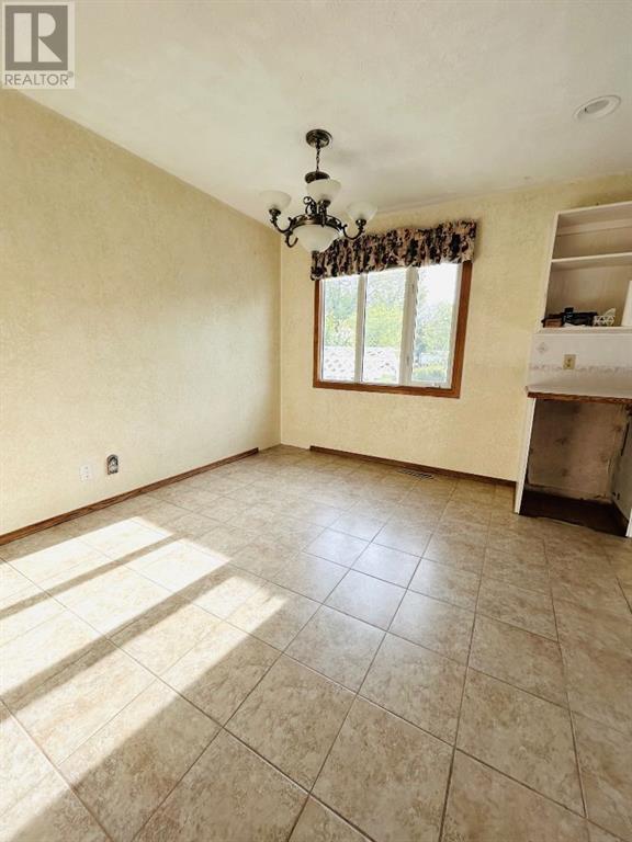 202 7 Avenue E, Oyen, Alberta  T0J 2J0 - Photo 7 - A2223032