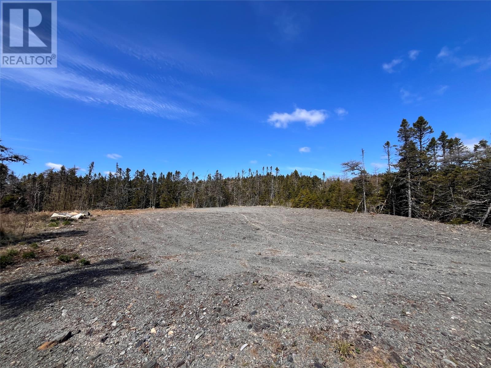 676b Main Street, Whitbourne, Newfoundland & Labrador  A0B 3K0 - Photo 6 - 1285015
