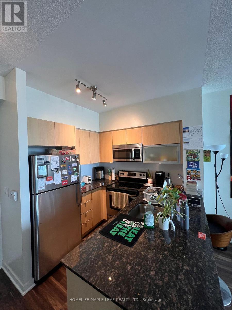 1402 - 150 East Liberty Street, Toronto, Ontario  M6K 3R5 - Photo 4 - C12159987