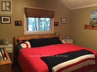 35 Fire Route 141, Trent Lakes, Ontario K0L 1J0 - Photo 45 - X12161432