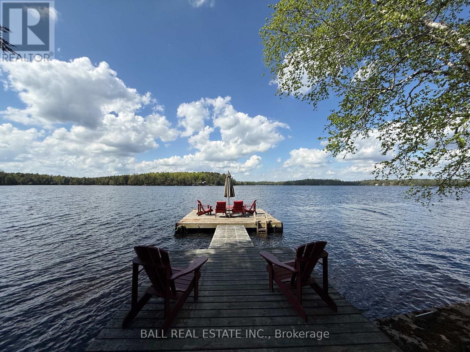 35 Fire Route 141, Trent Lakes, Ontario K0L 1J0 - Photo 5 - X12161432