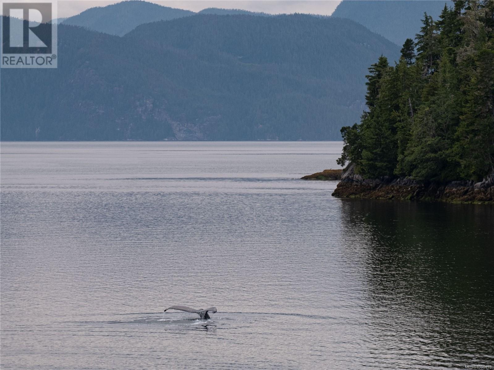 Sl5 Echo Bay, See Remarks, British Columbia  V0P 1S0 - Photo 12 - 1000493