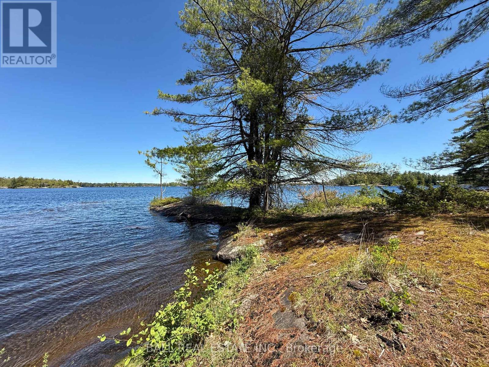 1020 Island 35, Stoney Lake, Douro-Dummer, Ontario K0L 2H0 - Photo 14 - X12161931