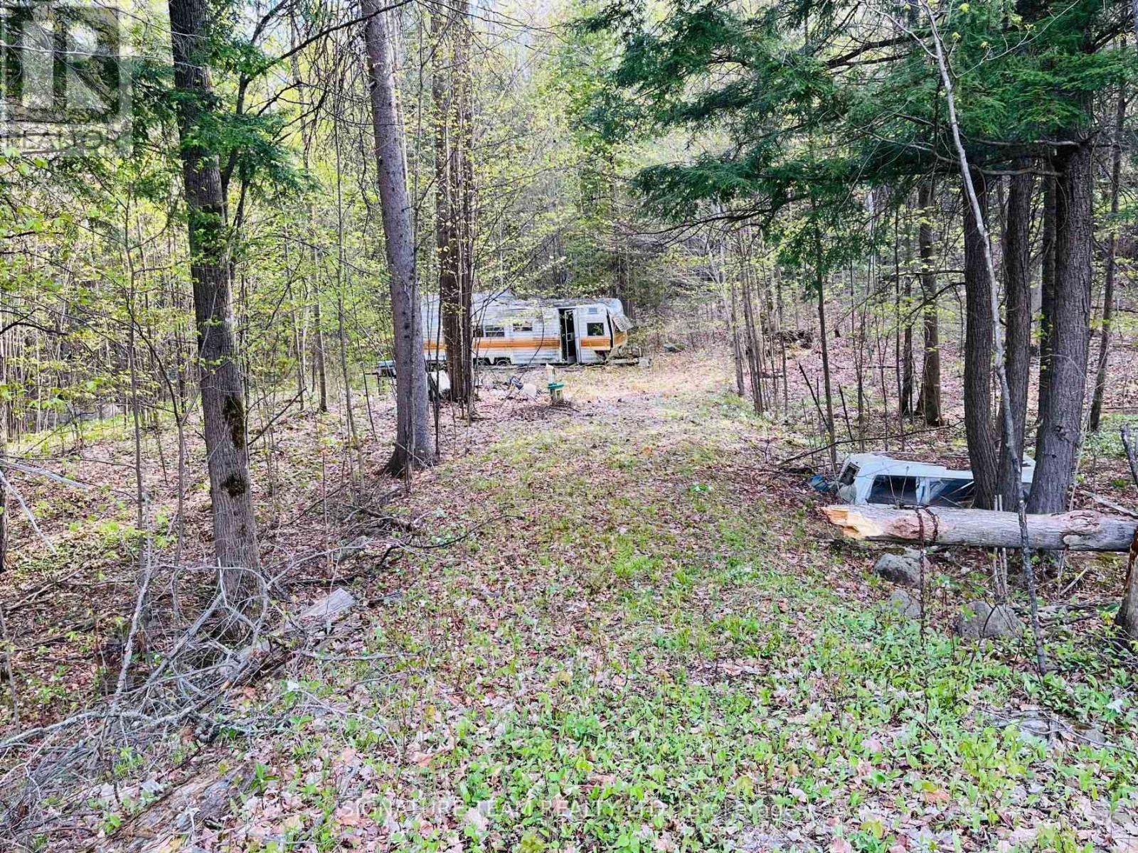 897 Lisk Road, Killaloe, Ontario  K0J 2A0 - Photo 30 - X12161691