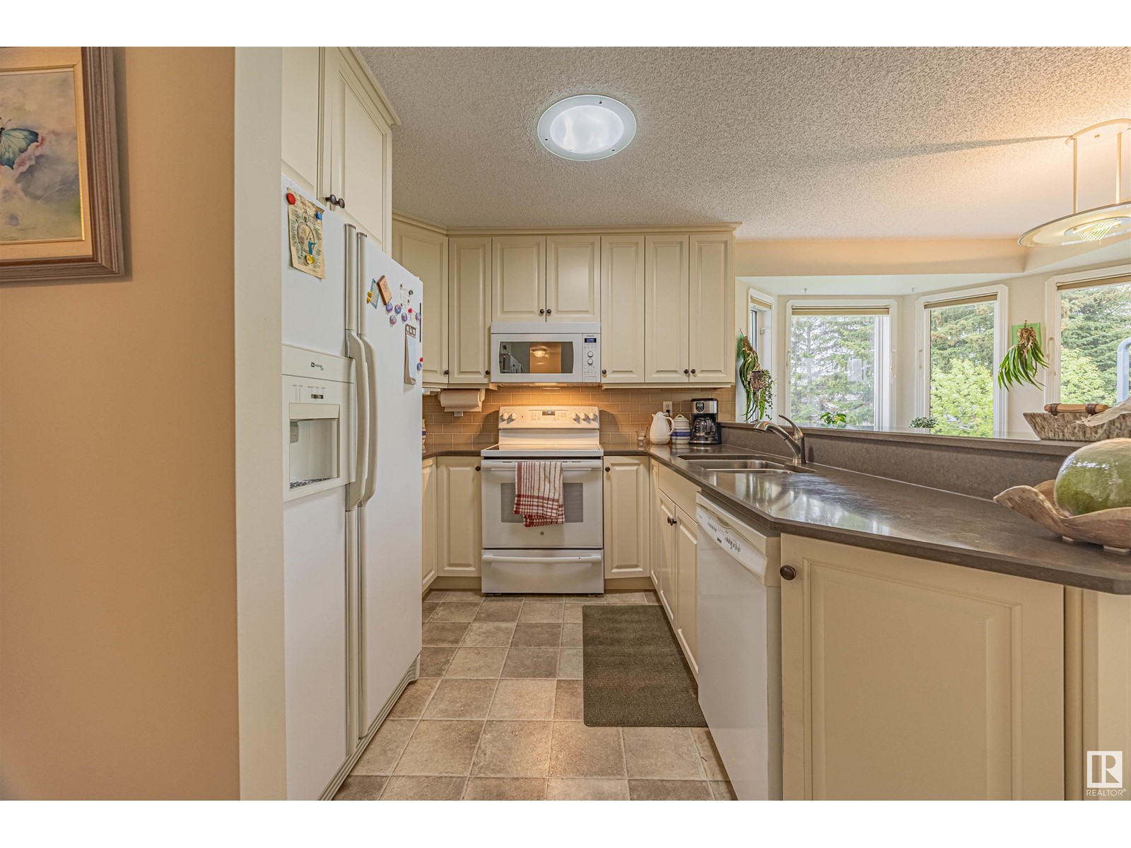 31 Elsinore Pl Nw Nw, Edmonton, Alberta  T5X 5W3 - Photo 8 - E4437534