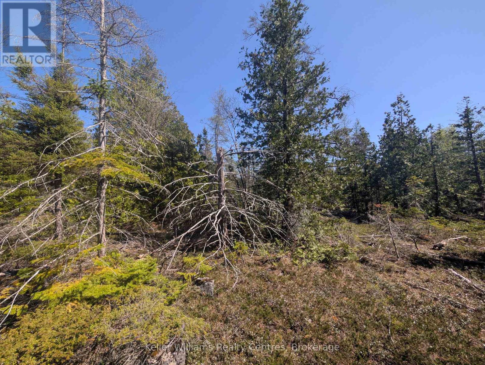Pt Lt 21 Con 7, Northern Bruce Peninsula, Ontario  N0H 1Z0 - Photo 24 - X12161730