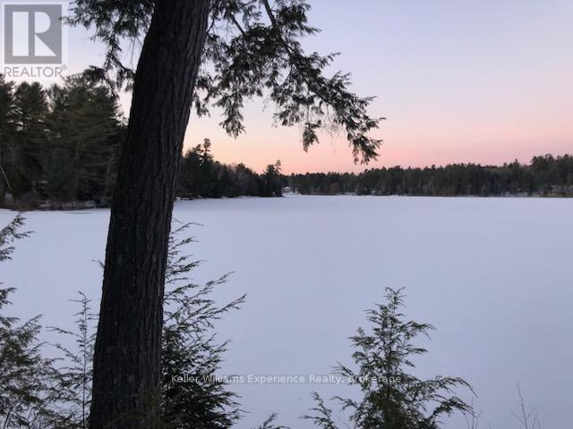 1123 Stone Gate Lane, Bracebridge, Ontario  P1L 1X1 - Photo 31 - X12161770