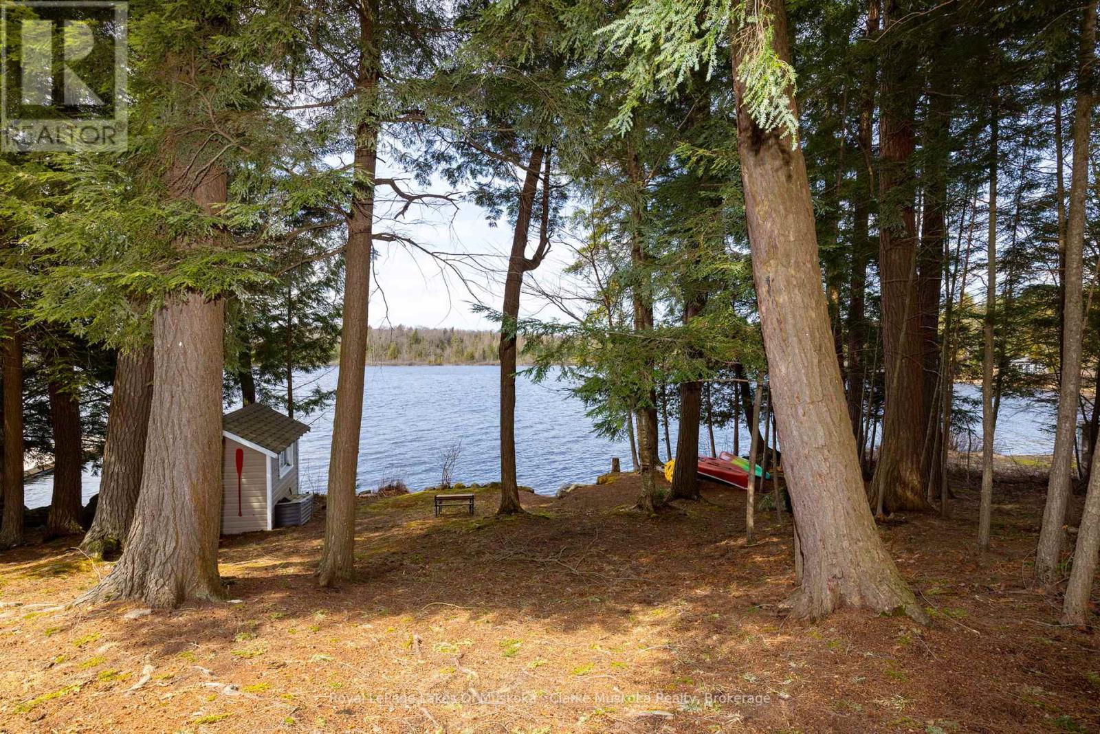 112 Bittern Lake Lane, Perry, Ontario  P0A 1R0 - Photo 25 - X12106057