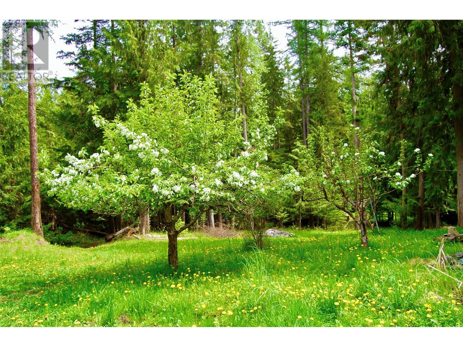 285A Meadow Creek Road, Meadow Creek, BC V0G1N0
