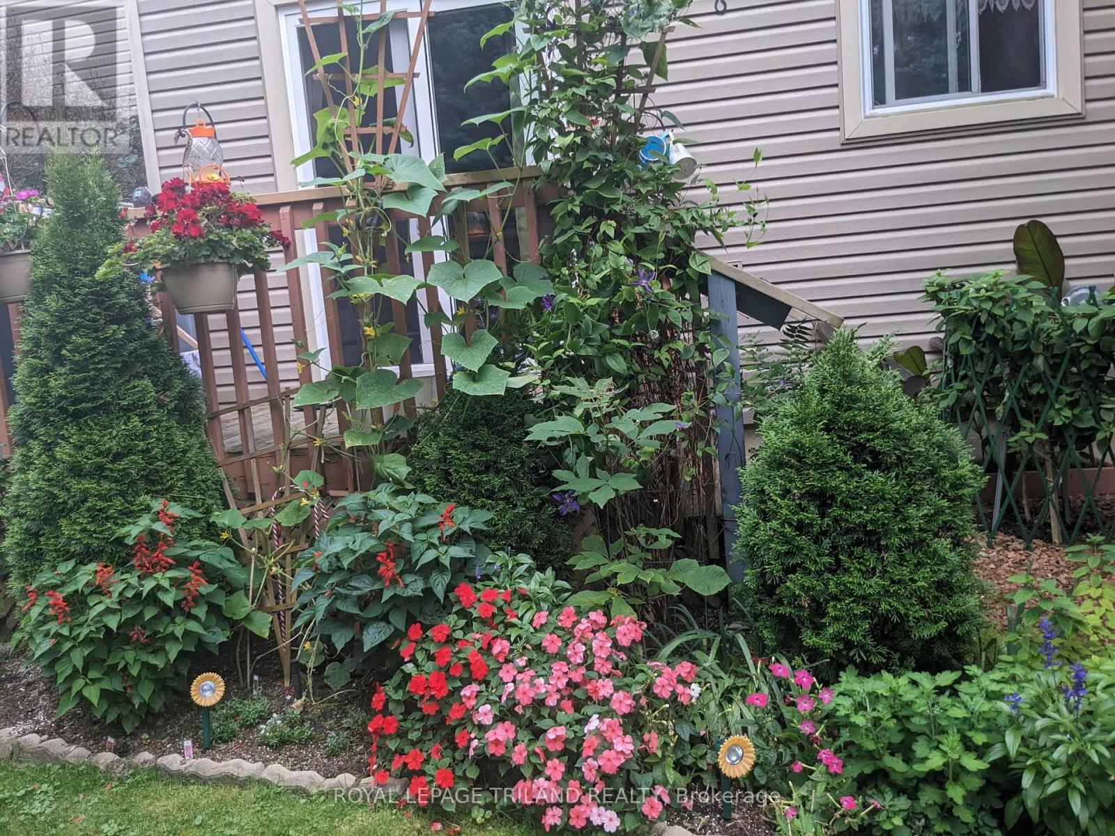 6 - 301 Carlow Road, Central Elgin, Ontario  N5L 1B7 - Photo 24 - X12159450