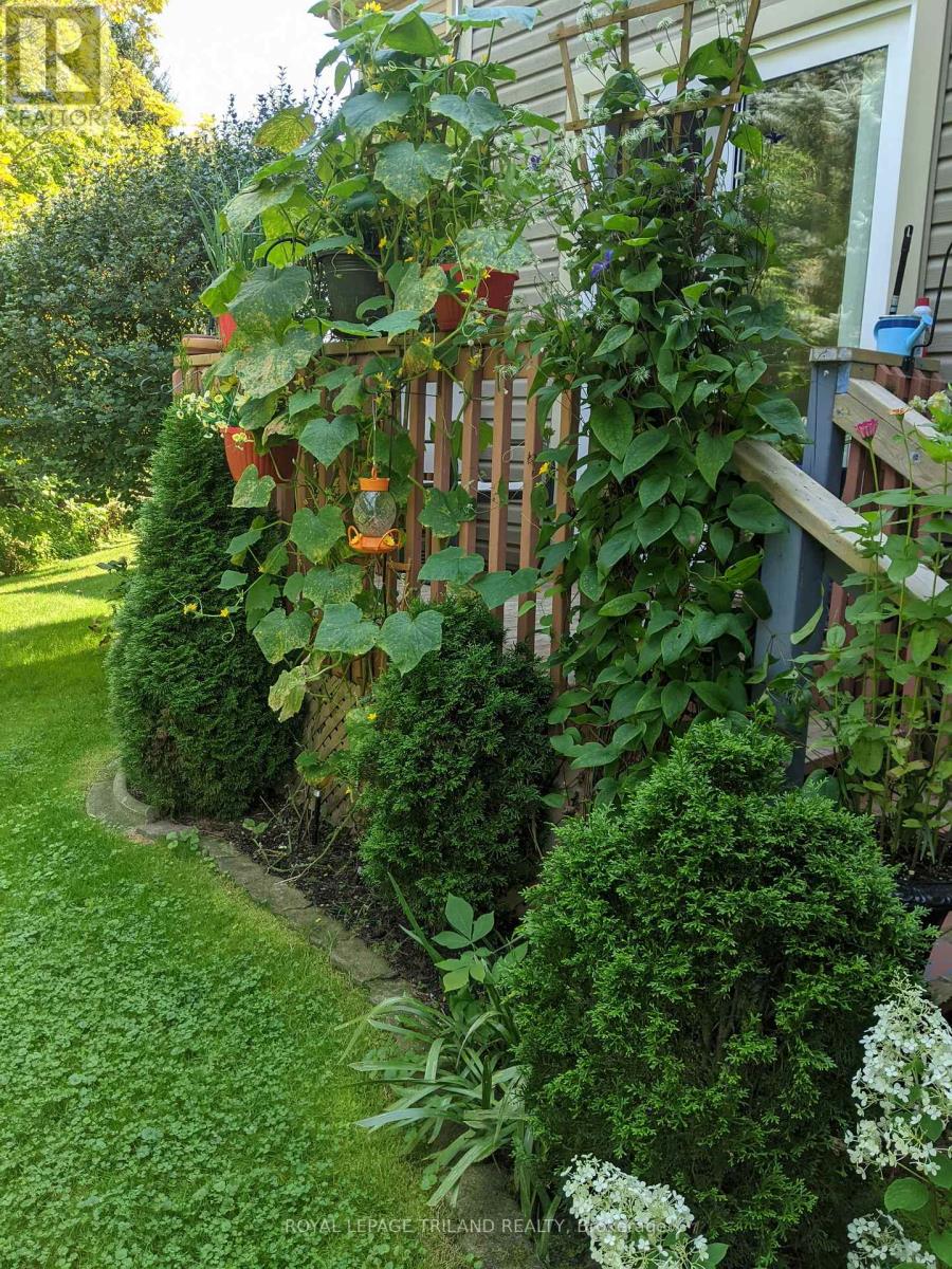 6 - 301 Carlow Road, Central Elgin, Ontario  N5L 1B7 - Photo 30 - X12159450
