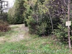 935 Route 575, Pole Hill, New Brunswick  E7P 1Z7 - Photo 3 - NB114257