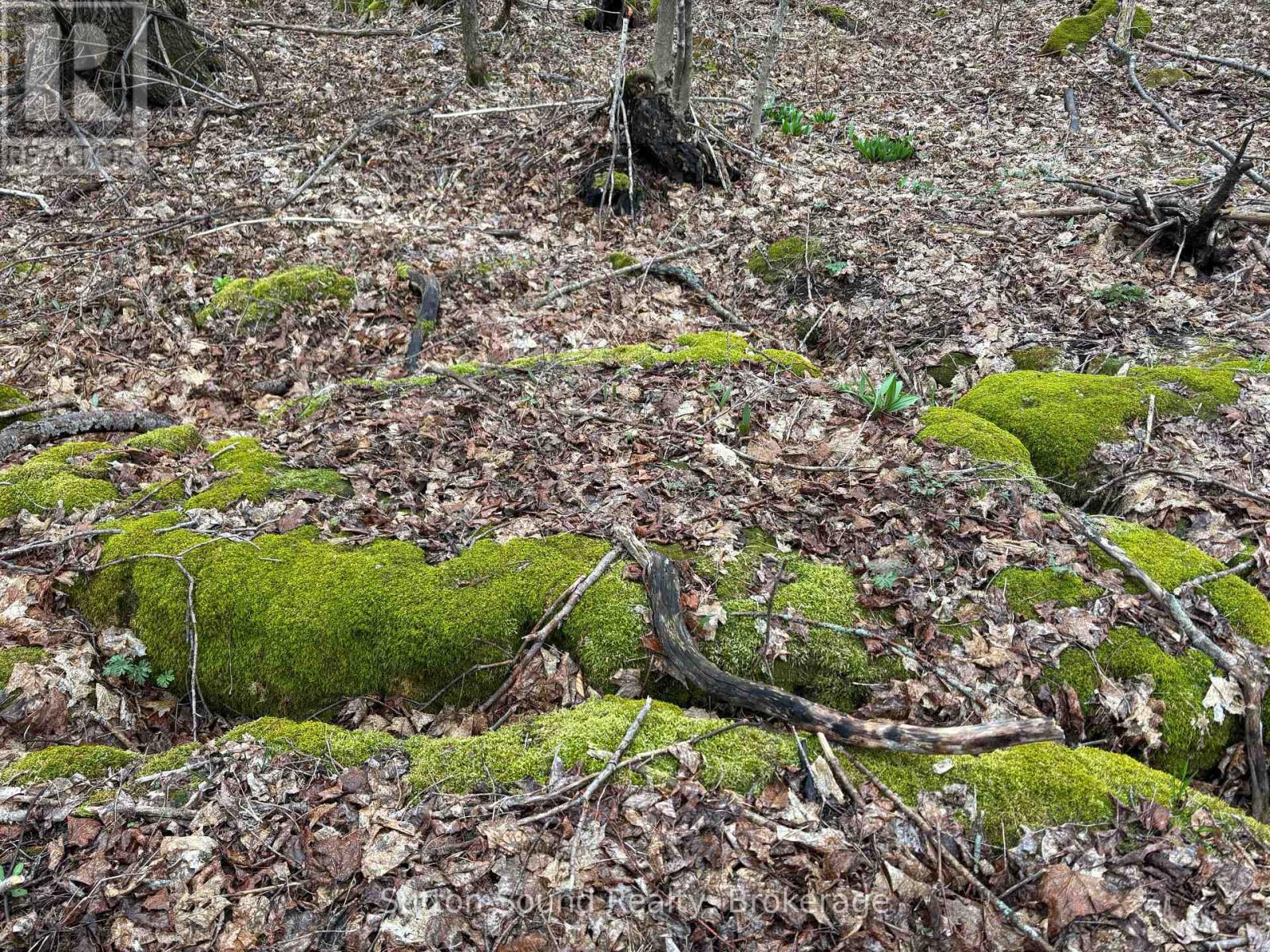 Pt Lt 9 Con 14 Ebr Pt 20 Concession, Northern Bruce Peninsula, Ontario  N0H 1W0 - Photo 6 - X12162257
