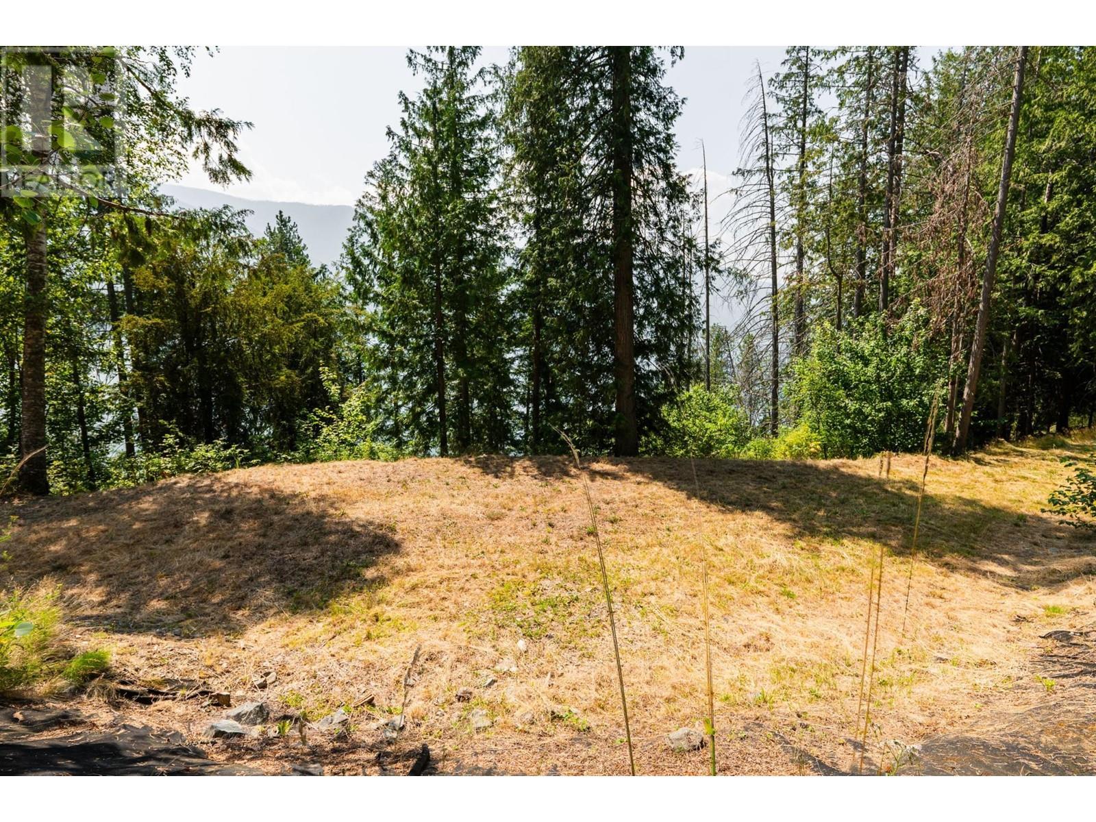6802 MARIAN Lane, Nelson, BC V1L6S2