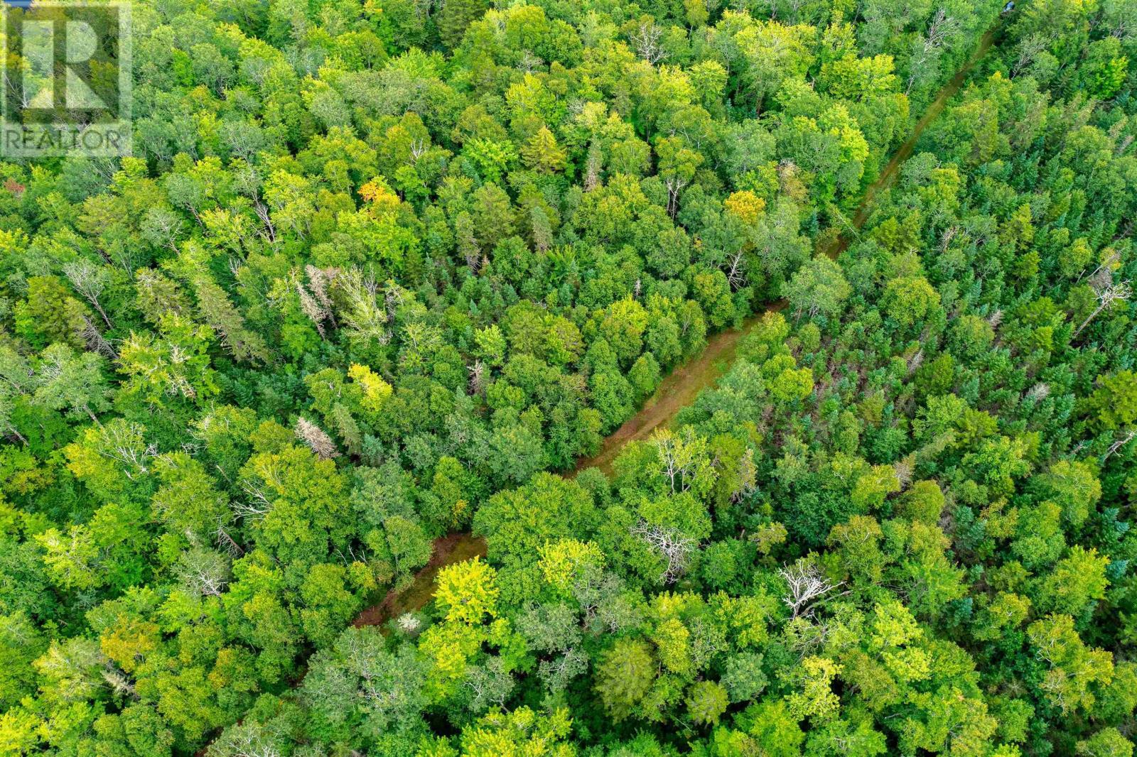 Lot Mill Road, New Ross, Nova Scotia  B0J 2M0 - Photo 50 - 202511707