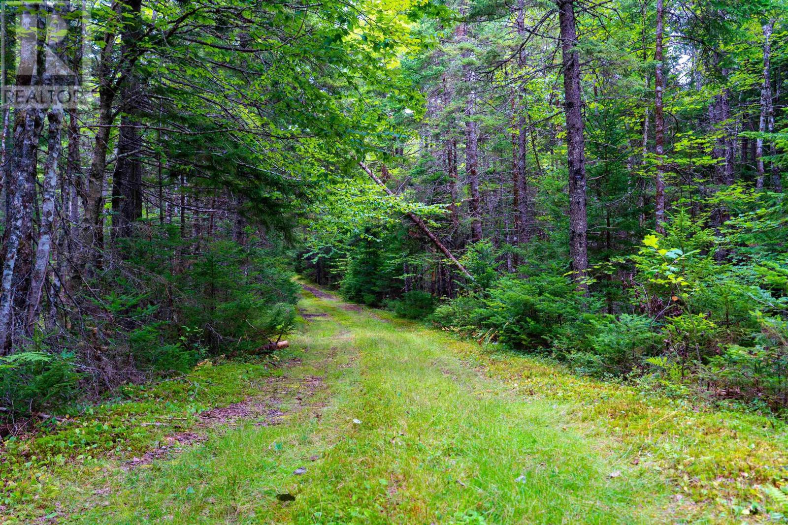 Lot Mill Road, New Ross, Nova Scotia  B0J 2M0 - Photo 42 - 202511707