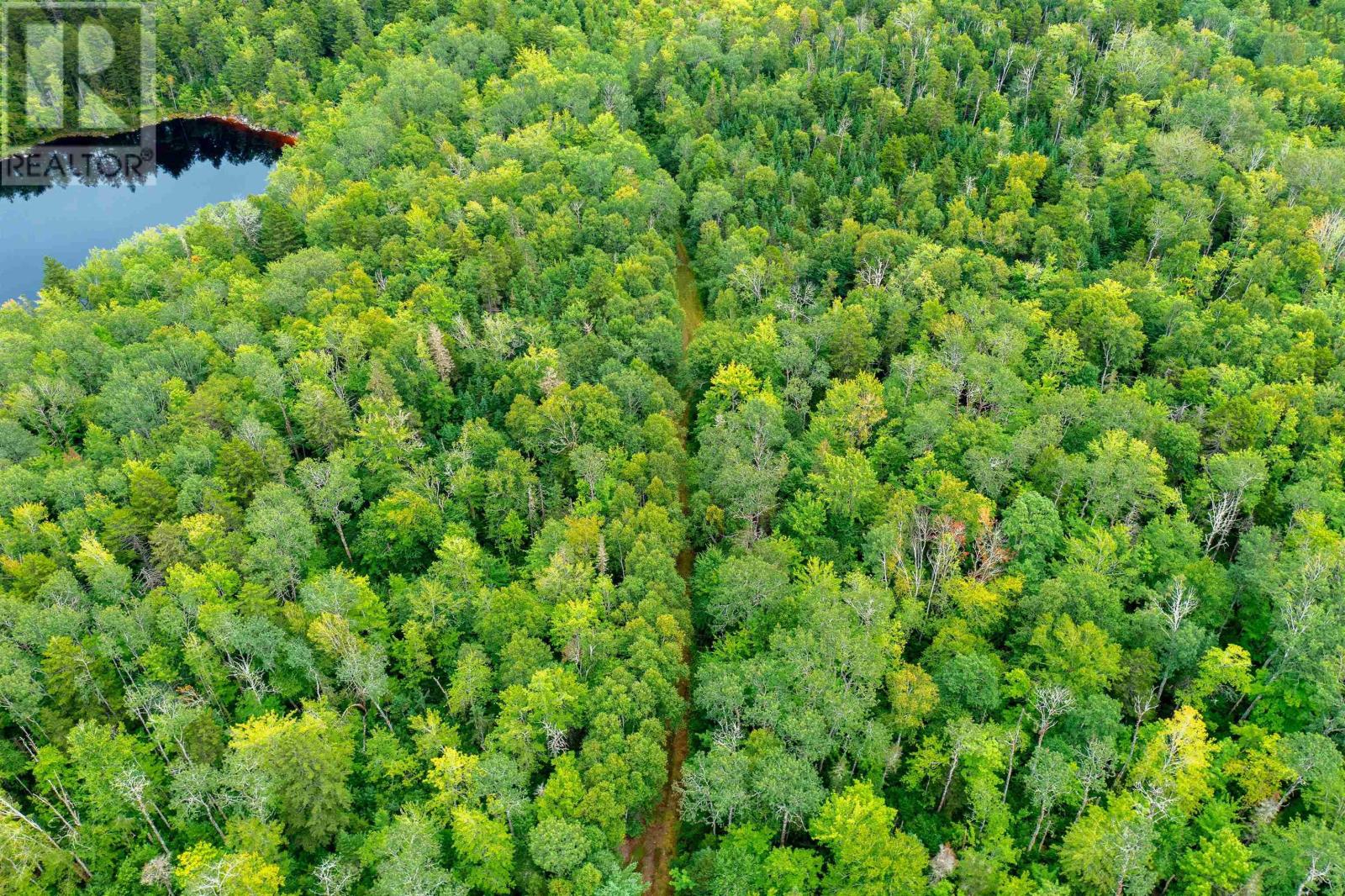 Lot Mill Road, New Ross, Nova Scotia  B0J 2M0 - Photo 49 - 202511707